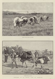 اسكتشات في معسكر التمارين الهندي